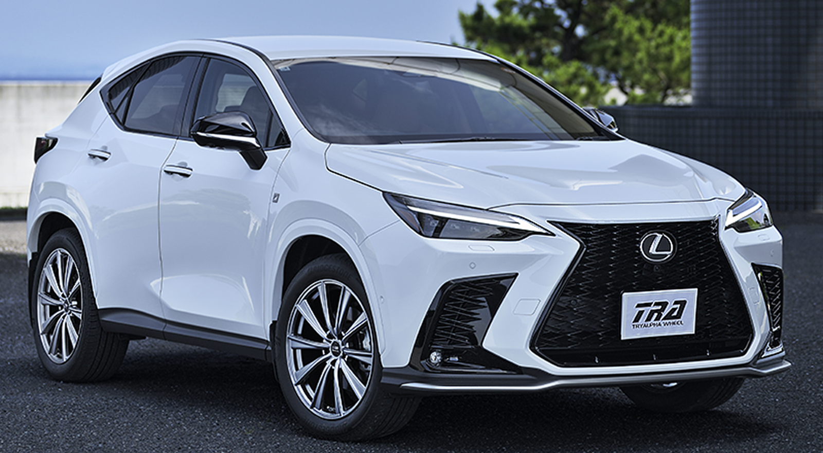 その他 leonoah ウェッズ レオニス SK 19インチ - アルファード 30系 DBA-AGH30W(30系