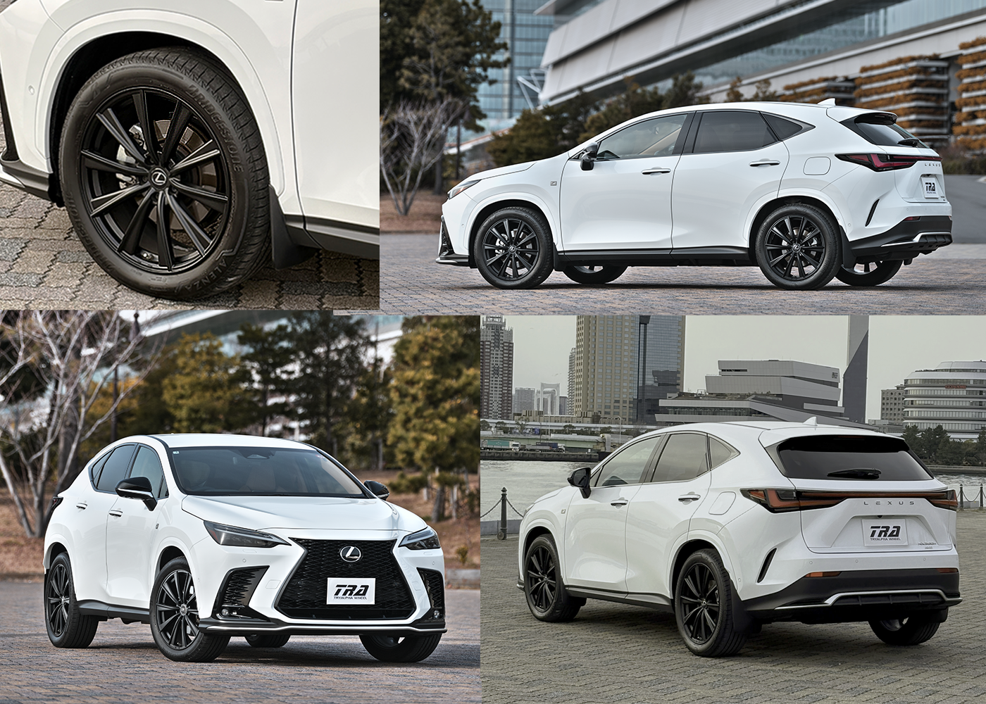 セミグロスブラック　イメージ